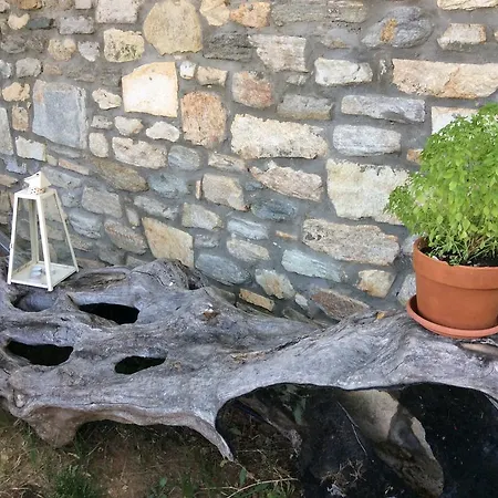 Aspasia's Tatil Evi *